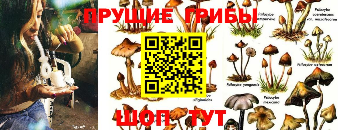 Саяногорск  Галлюциногенные грибы мухоморы  Вход с VPN 